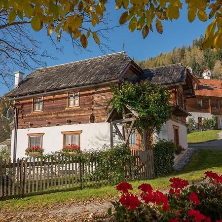 Troadkasten - Ferienhaus Am Bio-Bergbauernhof Aflenz Kurort 외부 사진