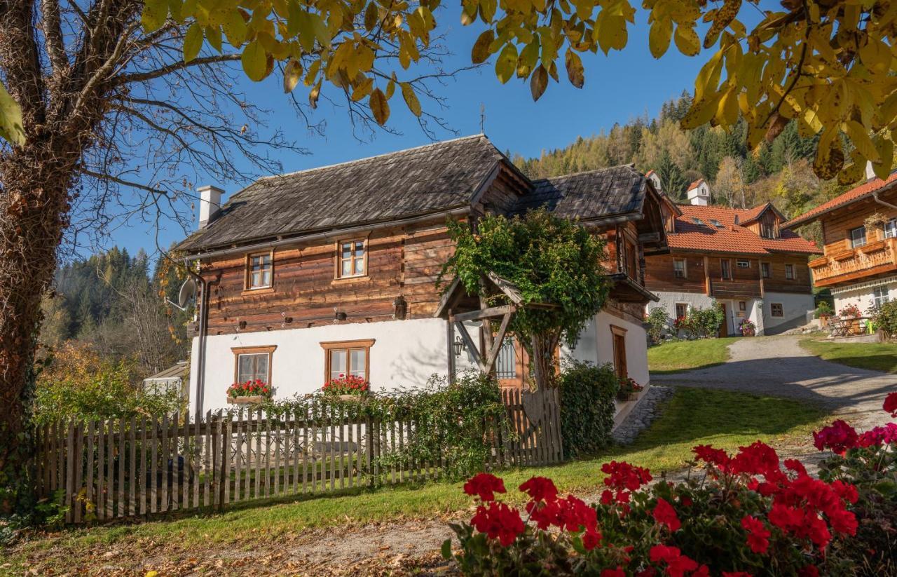 Troadkasten - Ferienhaus Am Bio-Bergbauernhof Aflenz Kurort 외부 사진