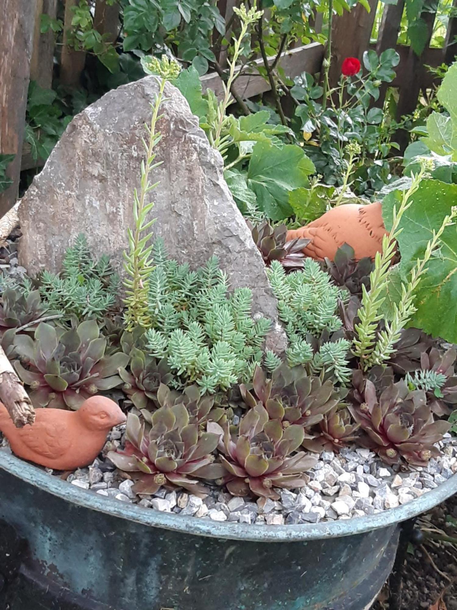 Troadkasten - Ferienhaus Am Bio-Bergbauernhof Aflenz Kurort 외부 사진