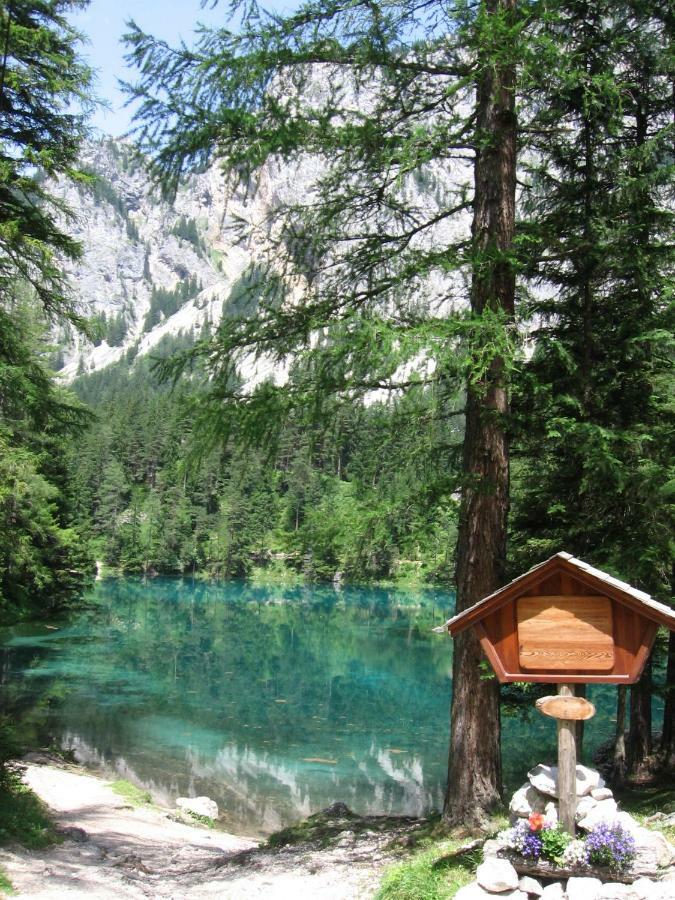 Troadkasten - Ferienhaus Am Bio-Bergbauernhof Aflenz Kurort 외부 사진